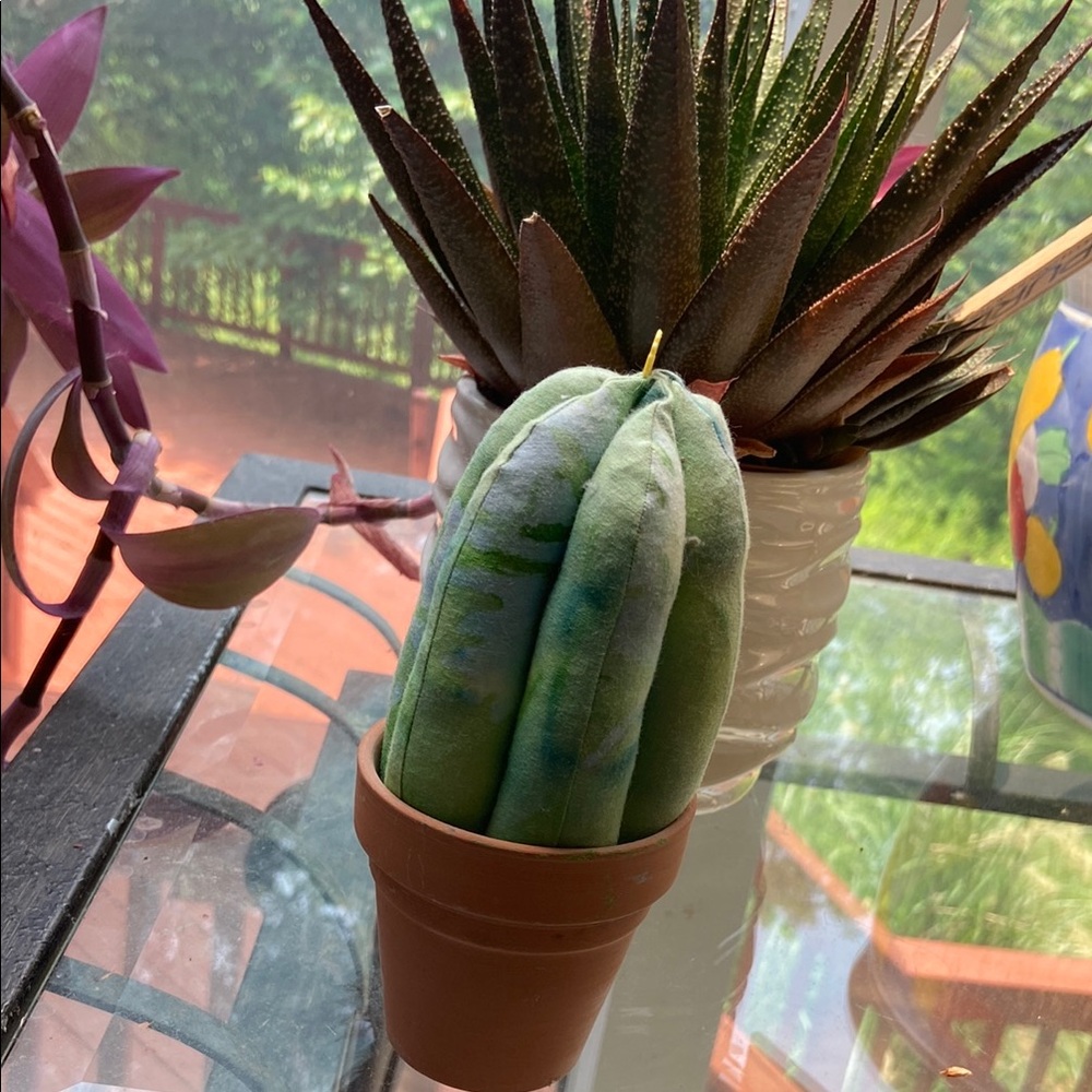 Charming Green Plush Cactus Decor